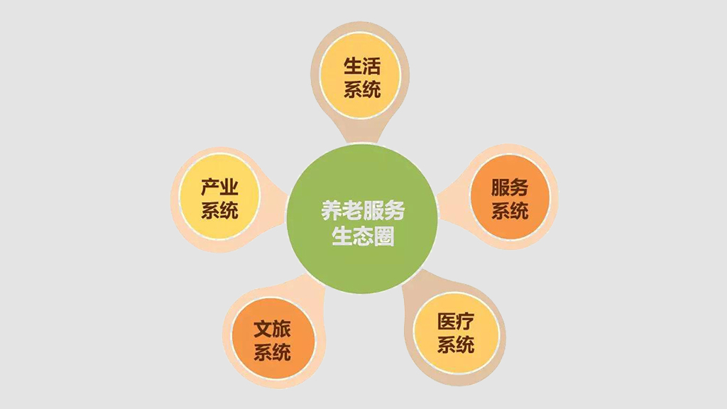 打造养老数字化平台 赋能养老行业规?；⒄?图10)