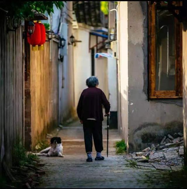 养老，是一场关乎经济实力和人性的博弈(图1)